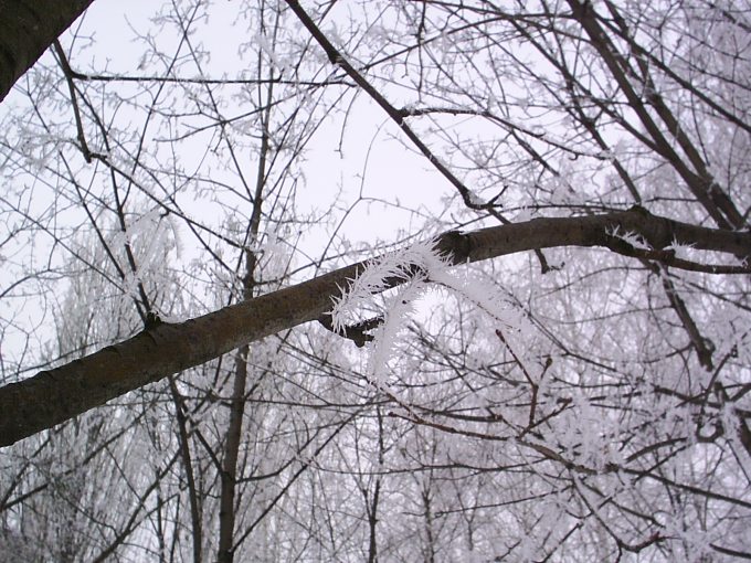 2004-01-25 13-40-21.jpg